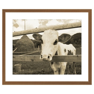 18" x 22" Matted to 2" Peek A Boo Picture Framed Black - PTM Images