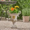 Syemin Planter, Antique Urn Style Planter, Elegant Decorative Flower Pot for Garden, Patio, Porch, Gray, 15.5"*11.25"*19.25" - 3 of 4