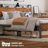 RGB LED Strip Platforrm Bed Frames with Headboard Metal, Storage Shelves & Underbed, Niose Free, No Box Spring Needed - 4 of 4