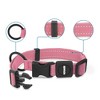 Voyager Adjustable Nylon Collar and Leash Combo for Dogs and Cats - 3 of 4