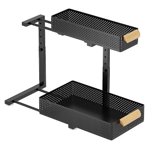 2-Layer Carbon Steel Kitchen Sink Rack Cabinet Push-Pull Drawer Seasoning Bottle Layered Storage Shelf Bathroom Organizer - 1 of 1