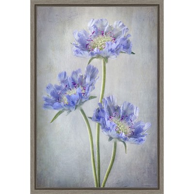 Amanti Art Scabiosa Purple Flower by Mandy Disher Canvas Wall Art Print Framed 16 x 23-in.