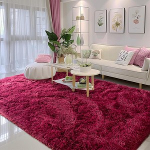 4x6ft Soft Fluffy Area Rug, Non-Slip Shag Carpet for Bedroom, Plush Living Room Rug for Home Dorm Decor - 1 of 4