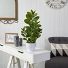 Nearly Natural 22-in Zamioculcas Artificial Plant in White Planter - 3 of 4