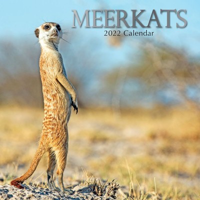 The Gifted Stationery 2021 - 2022 Monthly Wall Calendar, 16 Month, Meerkat Animals Theme with Reminder Stickers, 12 x 12 in