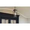 Zarah 1-Light Matte Black Outdoor Hanging Lantern - 3 of 4