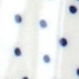 small dots