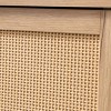 GlasFlength Utility Storage Cabinets Mid Century 3 Drawers with Woven Rattan Doors for Living Room Dining Room, Beige, 35.4"*11.8"*31.5" - 4 of 4