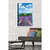Trends International Lavender Field Framed Wall Poster Prints - 2 of 4