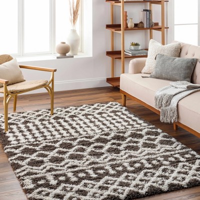 Hauteloom Aysel Shag Area Rug