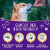 Chewmasters Grass-Fed Beef Stix Dog Treats – 32 oz Bag – Wheat, Corn & Soy Free – Made in USA - 4 of 4