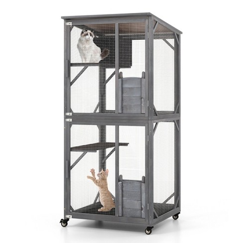 Cat 2025 cage target