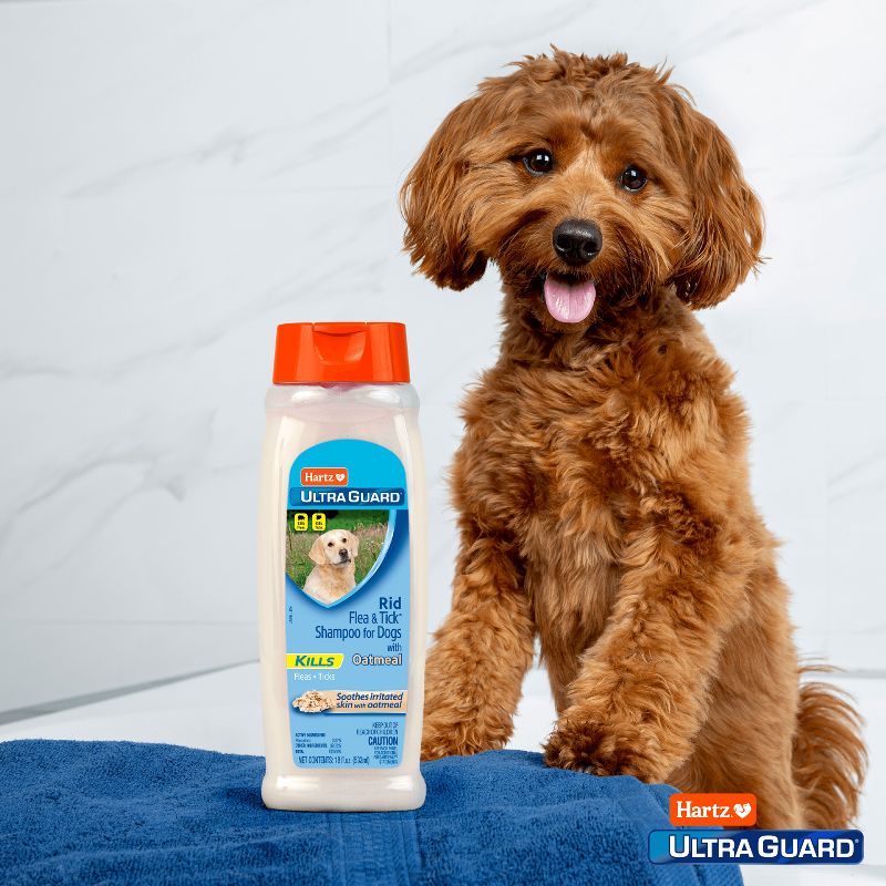 Hartz UltraGuard Rid Flea and Tick Shampoo for Dogs with Oatmeal - Rich Vanilla Fragrance - 18 fl oz, 4 of 5