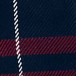 classic navy large plaid