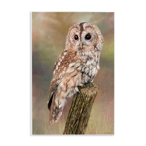 Stupell Industries Brown Tawny Owl Perched Intricate Woodland Wildlife Painting Wall Plaque Art, 13" x 19" - 1 of 4