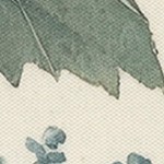 farmhouse gray