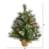 Nearly Natural 2-ft Frosted Pine Artificial Christmas Tree with 35 Clear LED Lights, Pinecones and Burlap Base - 2 of 4