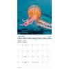 Trends International 2025 Ocean Life Wall Calendar: Monthly 12x12" Paper, Multicolored, Saddle Stitch, All Ages, 2024-2025 - 2 of 4