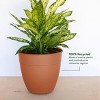Bloem Dayton Round Resin Planter Pot Indoor and Outdoor Gardening - 4 of 4