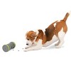 PetSafe Kibble Chase Roaming Treat Dropper - Gray - 2 of 4