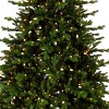 National Tree Company 7.5' Pre-lit Feel Real Full Vienna Fir Artificial Christmas Tree with Dual Color LED Lights: Hinged Branches - 2 of 4