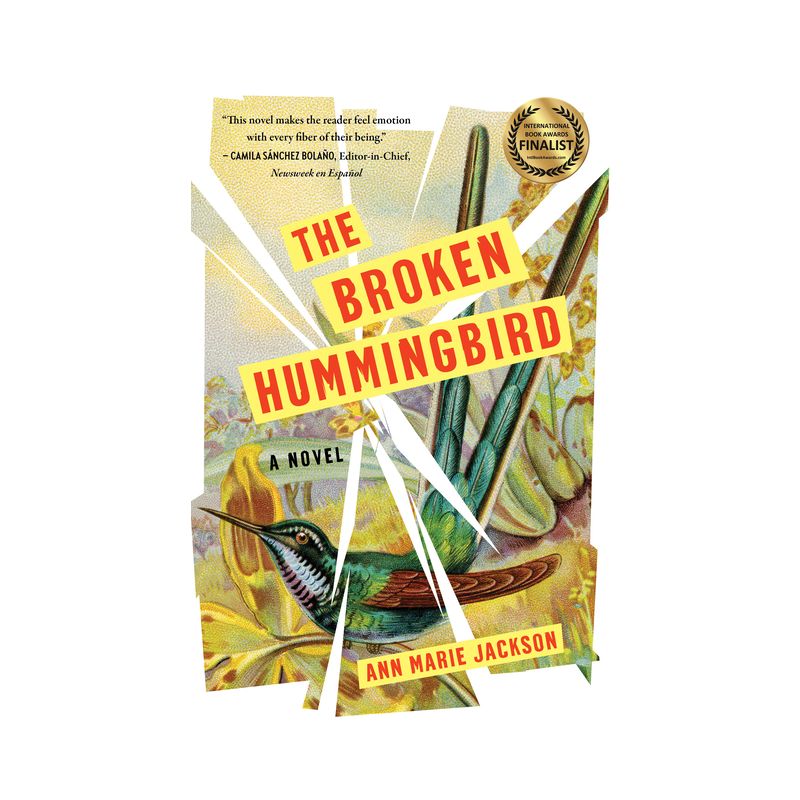 The Broken Hummingbird - by  Ann Marie Jackson (Paperback), 1 of 2