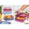 BPA-Free Plastic Food Storage Container with Silicone Boot & Airtight Lids - 2 of 4