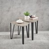 Set of 2 Nesting Coffee Tables, Industrial End Tables Small Stacking Side Tables Accent Table for Living Room Bedroom - image 4 of 4