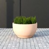 LeisureMod Grove Fiberstone Round Planter with Drainage Holes, Indoor/Outdoor, Weather-Resistant - 3 of 4