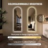 NicBex Full Length Mirror, Wall Hanging Full Body Mirror with Hanging Hole for Bedroom Living Room Entryway Explosion-proof Glass - 2 of 4