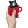 Schylling Pop-A-Chino Kitties Fidget Toy – Assorted Styles, Ages 3 and Up - 4 of 4