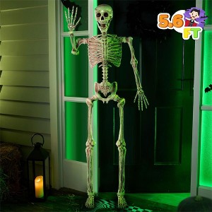 Joyfy Halloween Decor 5.6 FT Life Size Halloween Skeleton Full Body Posable Realistic Bones for Halloween Indoor Outdoor Decoration Grave Party Props - 1 of 4