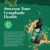 Organic Lymphatic Drainage Drops, Lymphatic Cleanse & Immune Support Supplement with Echinacea Goldenseal & Red Clover Extract, Nature's Craft, 60mL - 3 of 4