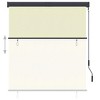 Aghana Digitals Cream Exterior Roller Blind 55.1"x98.4" - UV Blocking, Hand Crank, Polyester with - 3 of 4