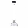 Elk Home Orinoco 1 - Light Pendant in  Matte Black - 3 of 3