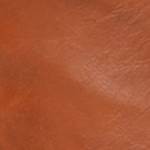 chestnut