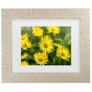 Trademark Fine Art - Harri Aho yellow field Matted Framed Art - 1 of 4