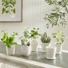 Plum & Post Mirabelle Mini Cachepots Set Of 6 - 3 of 4