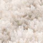 off white, medium gray