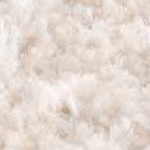 off white, medium gray