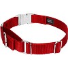 Country Brook Petz Heavyduty Nylon Martingale with Premium Buckle - 2 of 4