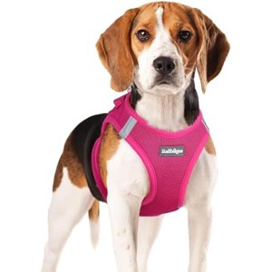rabbitgoo Small Dog Harness, Step-in Soft Mesh Puppy , Breathable Reflective Pet Harness for Small Medium Dogs, Rose Red XL - 1 of 1