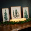 19.5" Sullivans Pine Tree Trio Christmas Wall Decor, Green-White - 4 of 4