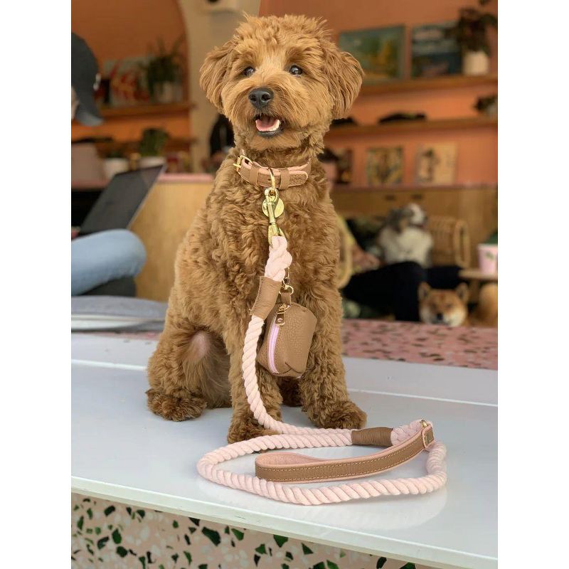 PoisePup - Luxury Pet Dog Leash - Soft Premium Italian Leather and 100% Natural Cotton Rope Leash - Bella Rose, 3 of 4