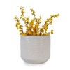 Syemin Planters Modern Ceramic Flowerpot, Indoor and Outdoor Planter with Drainage Holes for Patio, Garden, White, 16.15"*16.15"*14.38" - 4 of 4