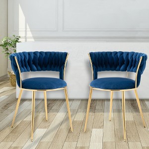 Set of 2 Modern Velvet Upholstered Accent Chair with Tufted Backrest-ModernLuxe - 1 of 4