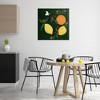 Stupell Industries Citrus & Bumble Bee, 30" x 30" - 2 of 4