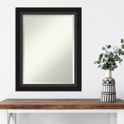 22.5" x 28.5" Bronze Framed Rectangular Wall Mirror