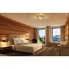 Clarion 4-Light Flush Mount Light - Dimmable Glass Shade, 20.75" for Any Room - 4 of 4