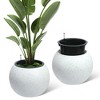 Spherical Self Watering Pots Plant Pots with Built-in Drainage & Water Level Monitor for Patio, Porch, Living Room, Home Office - 2 of 4